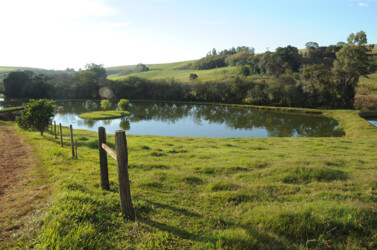 Criação de Peixes