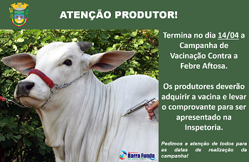 Fotos