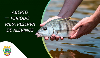 Fotos