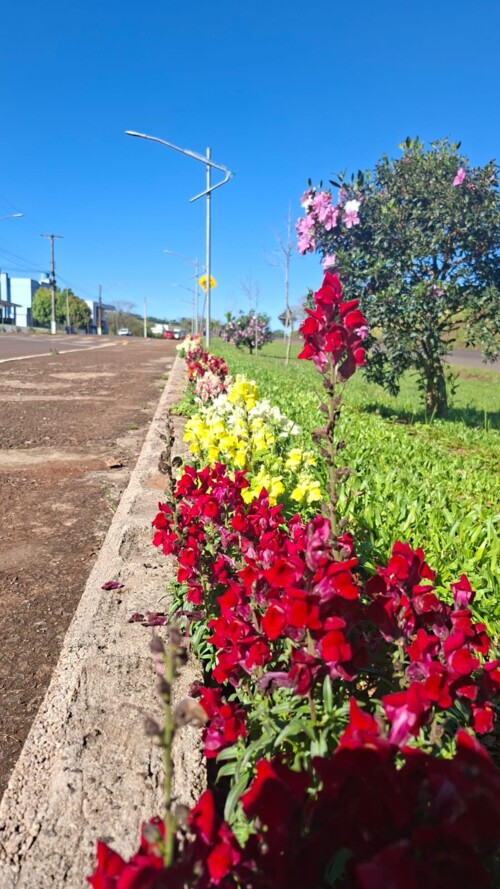 um-municipio-que-floresce-barra-funda-investe-na-beleza- ...